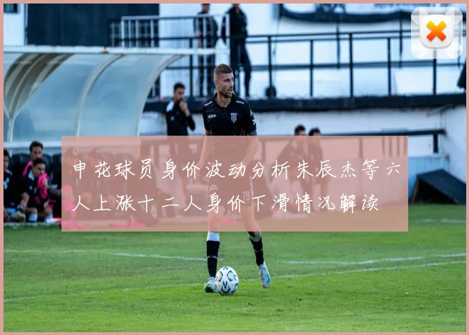 申花球员身价波动分析朱辰杰等六人上涨十二人身价下滑情况解读